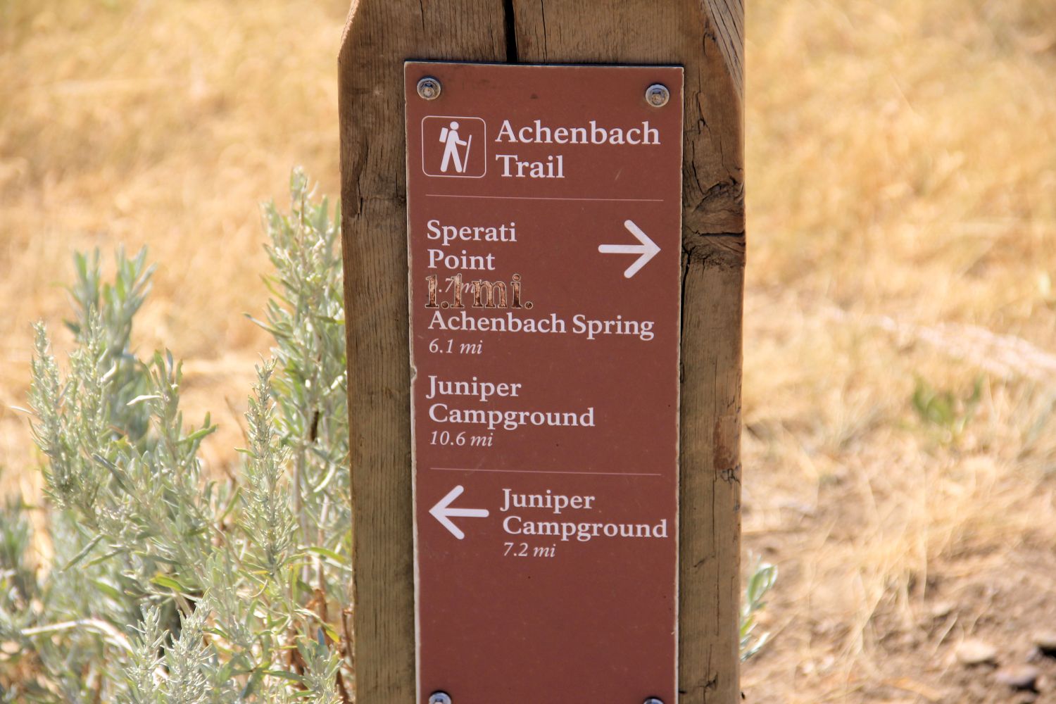 Achenbach Trail 